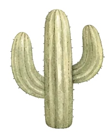 Watercolor cactus icon — Made in Arizona